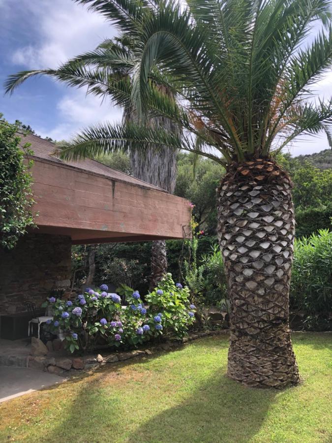 Villa 4 Porto Rotondo Buitenkant foto